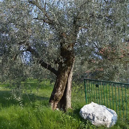 La Casetta Toscolano Maderno Exterior photo